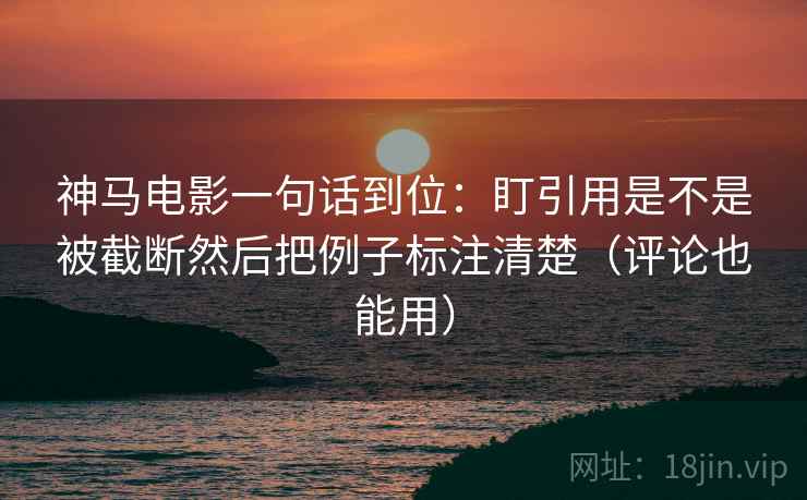 神马电影一句话到位：盯引用是不是被截断然后把例子标注清楚（评论也能用）
